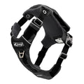 Kurgo Stash n’ Dash Harness — Tidbit