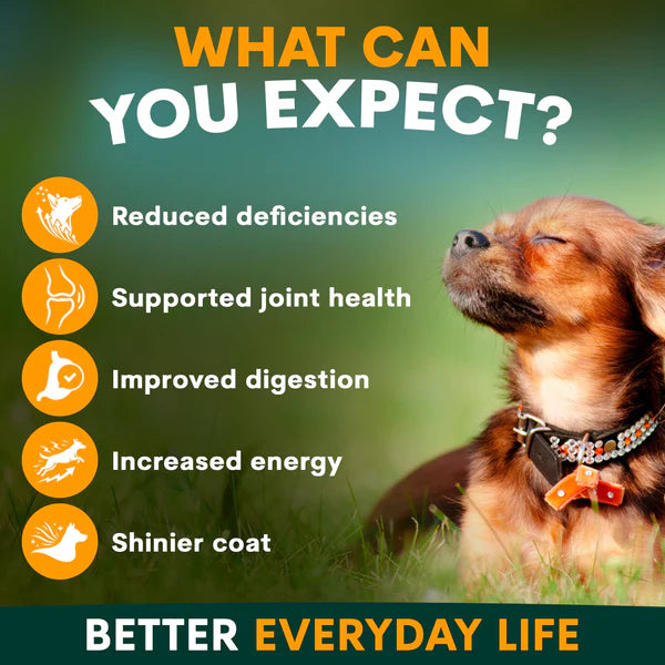 PetzPark – Multivitamin – For Dogs