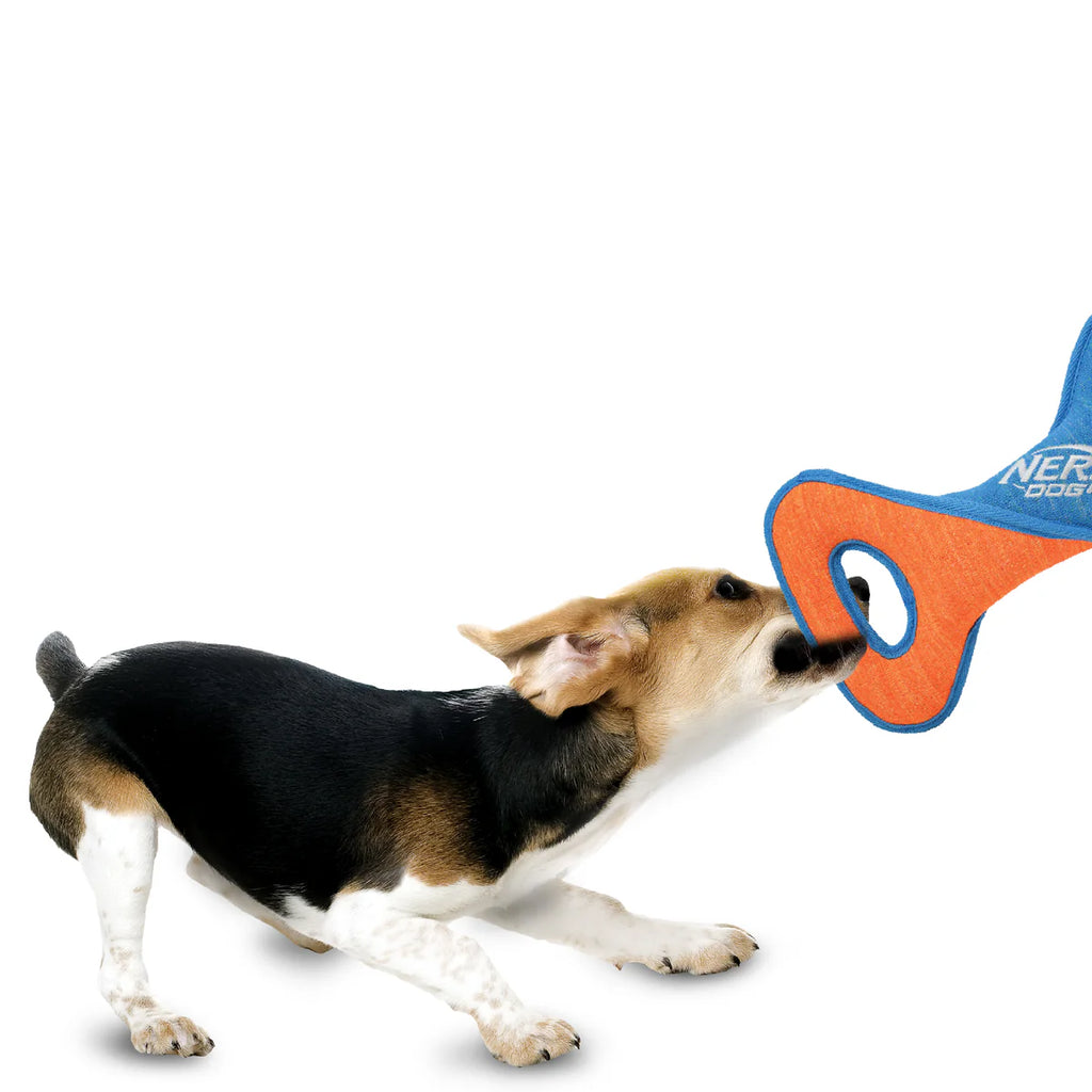 Nerf Dog X-Weave Infinity Twist Tug
