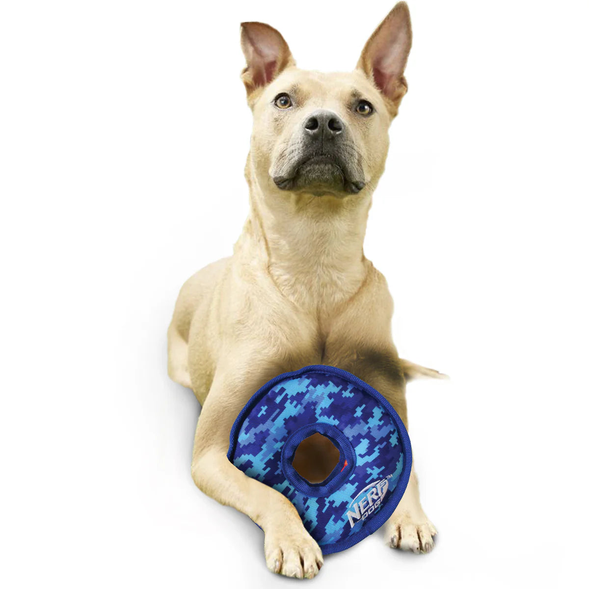 Nerf Dog Toss & Tug Ring