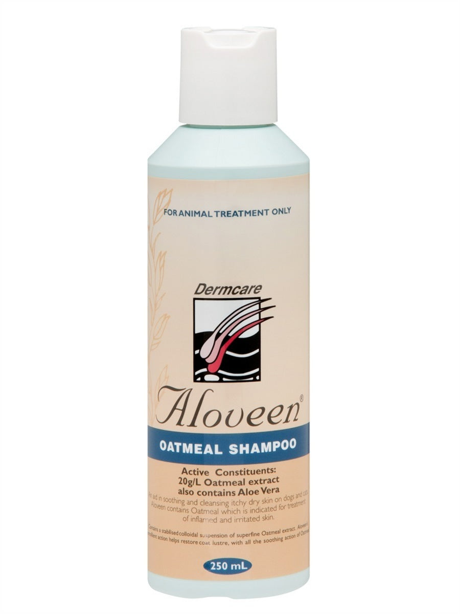 Dermcare Aloveen Oatmeal Shampoo — Tidbit