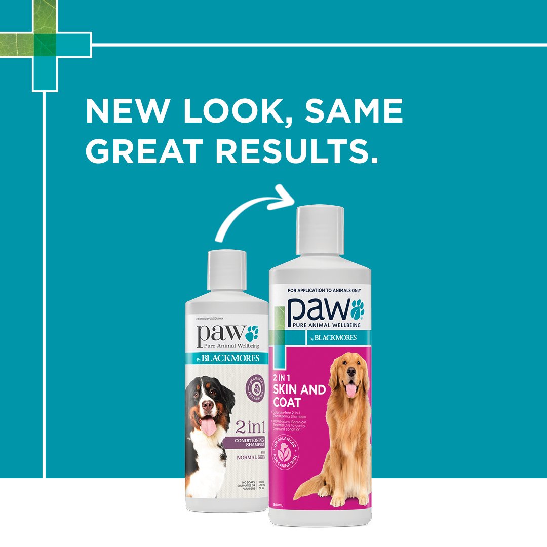 PAW by Blackmores 2 in 1 Conditioning Shampoo