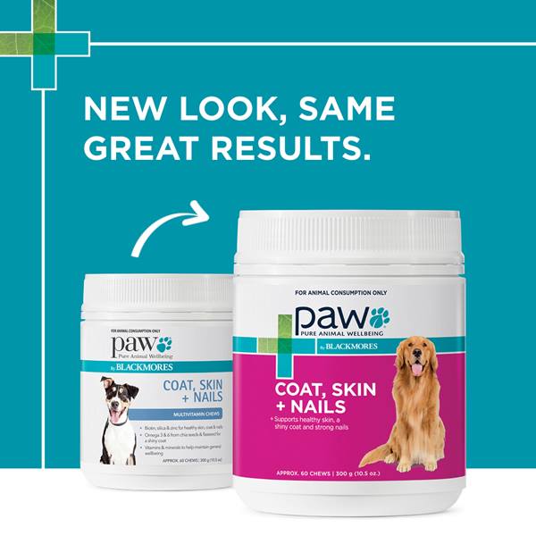 PAW by Blackmores Coat, Skin + Nails Multivitamin Chews 300g