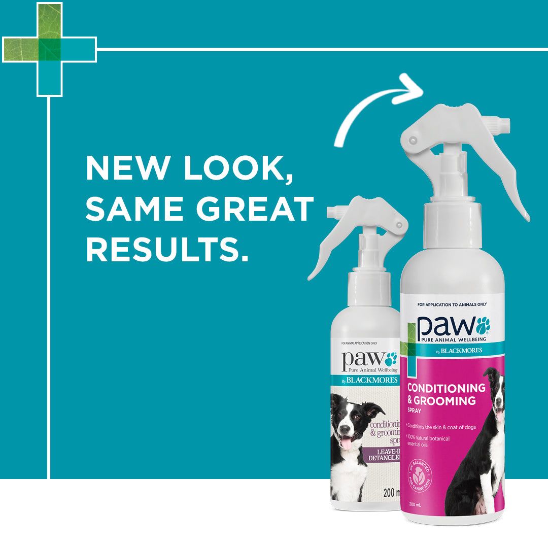Blackmores PAW Conditioning & Grooming Spray