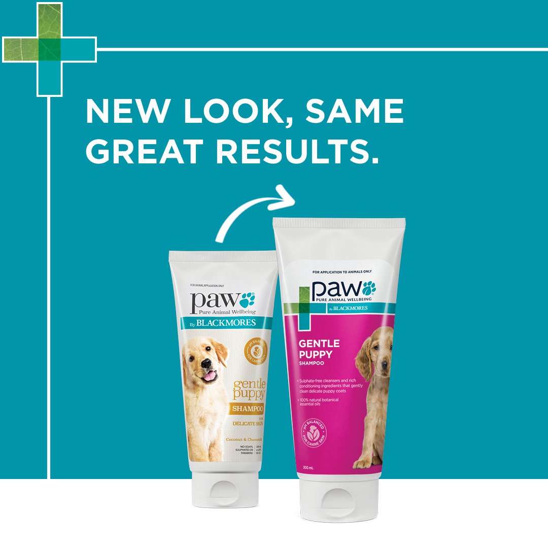 PAW by Blackmores Puppy Gentle Shampoo