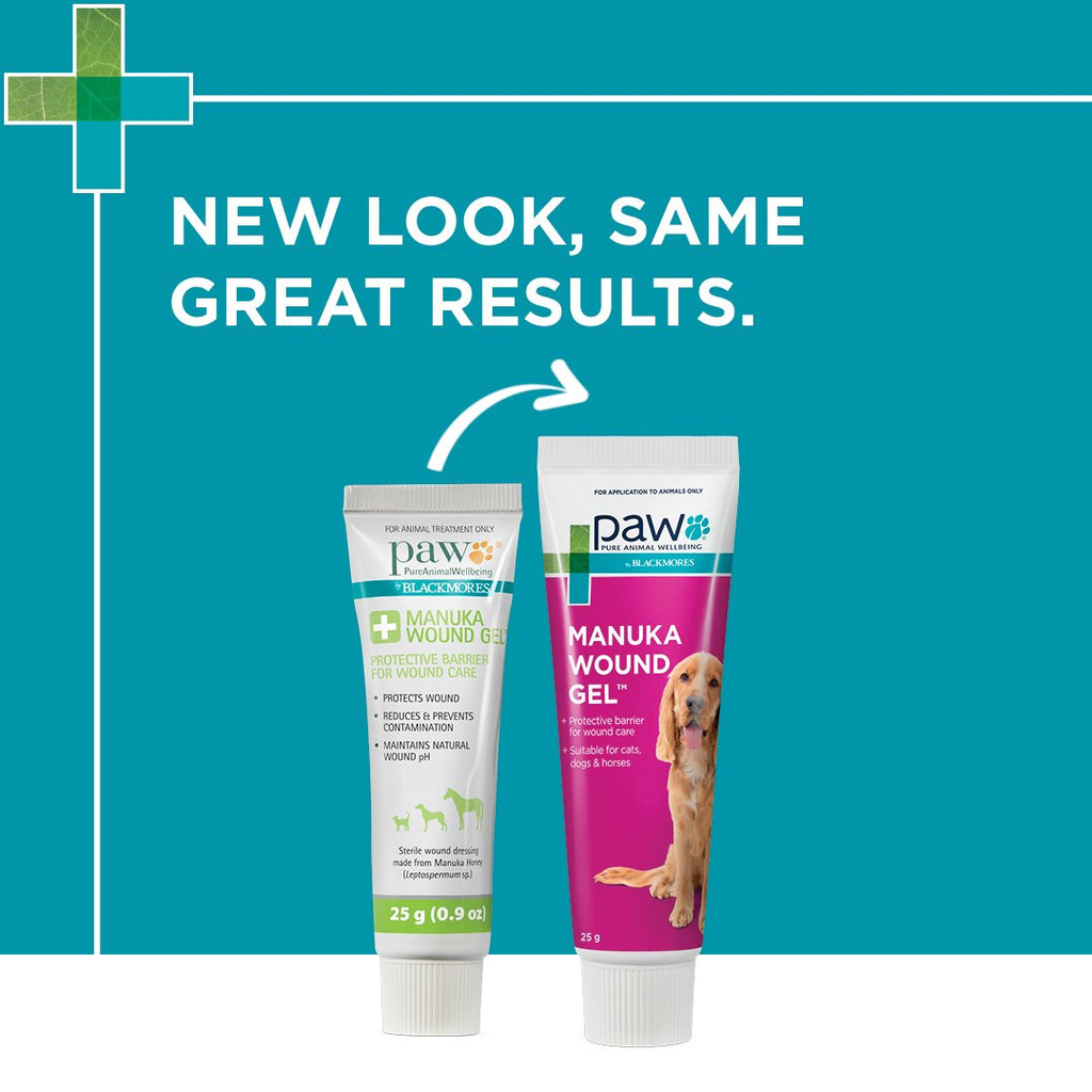 Blackmores PAW Manuka Wound Gel