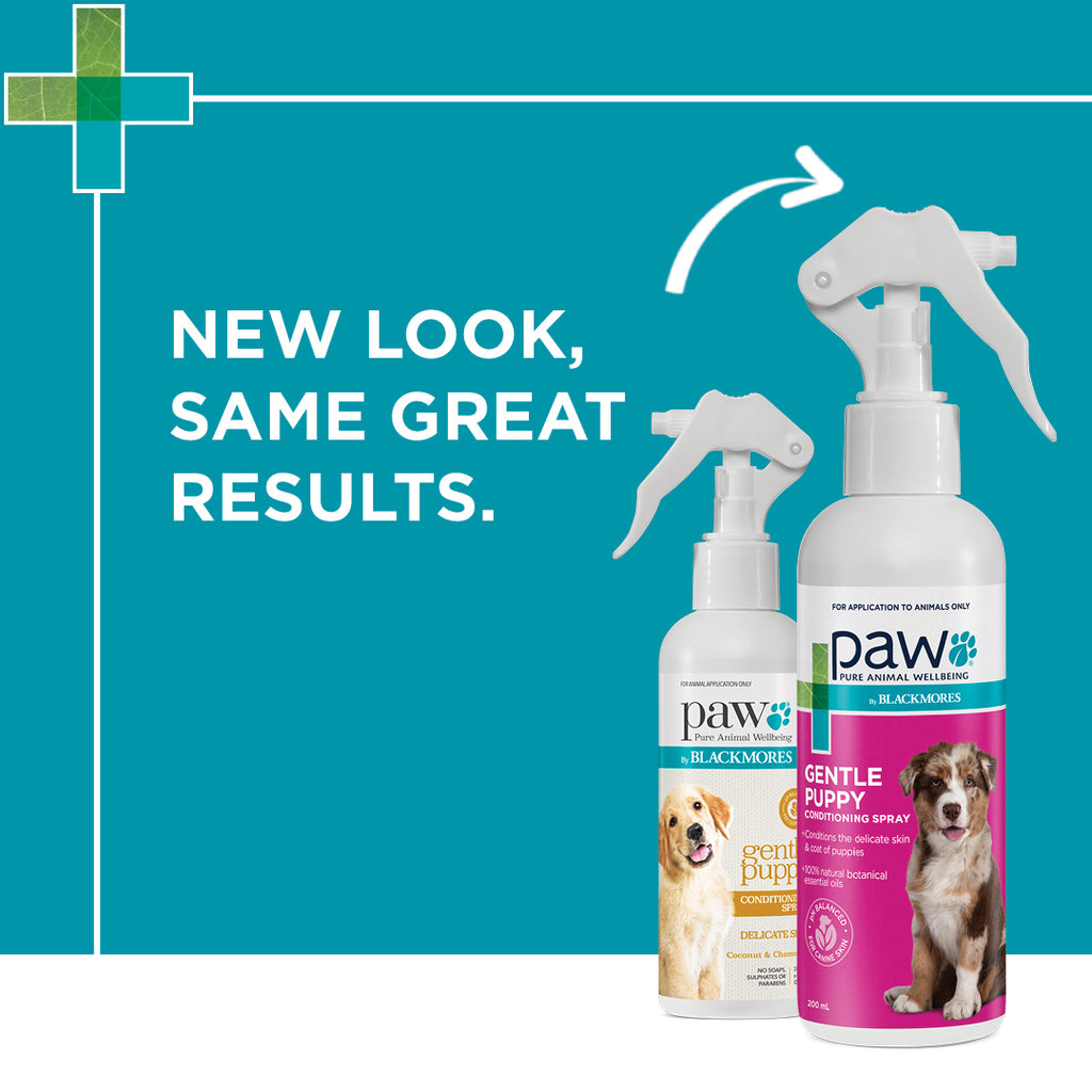 Blackmores PAW Puppy Conditioning Spray