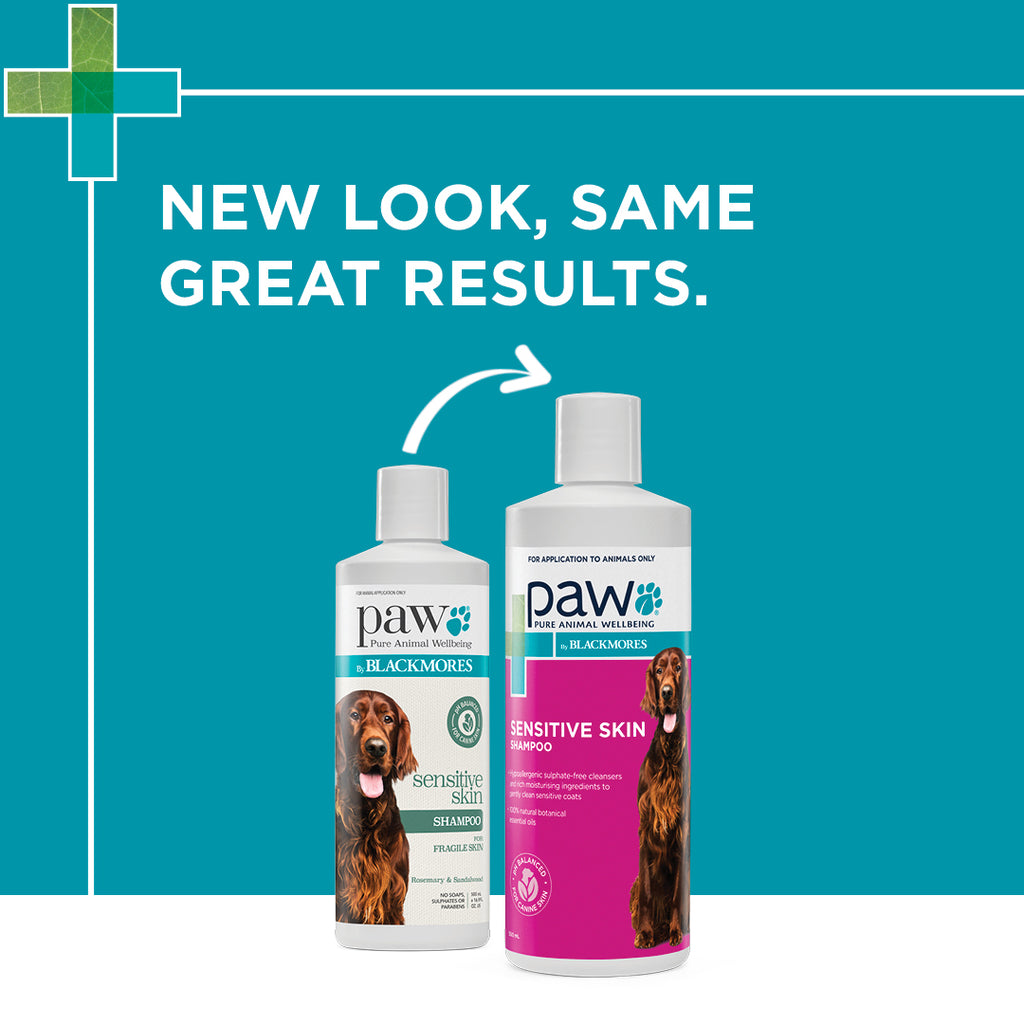 PAW by Blackmores Sensitive Skin Shampoo