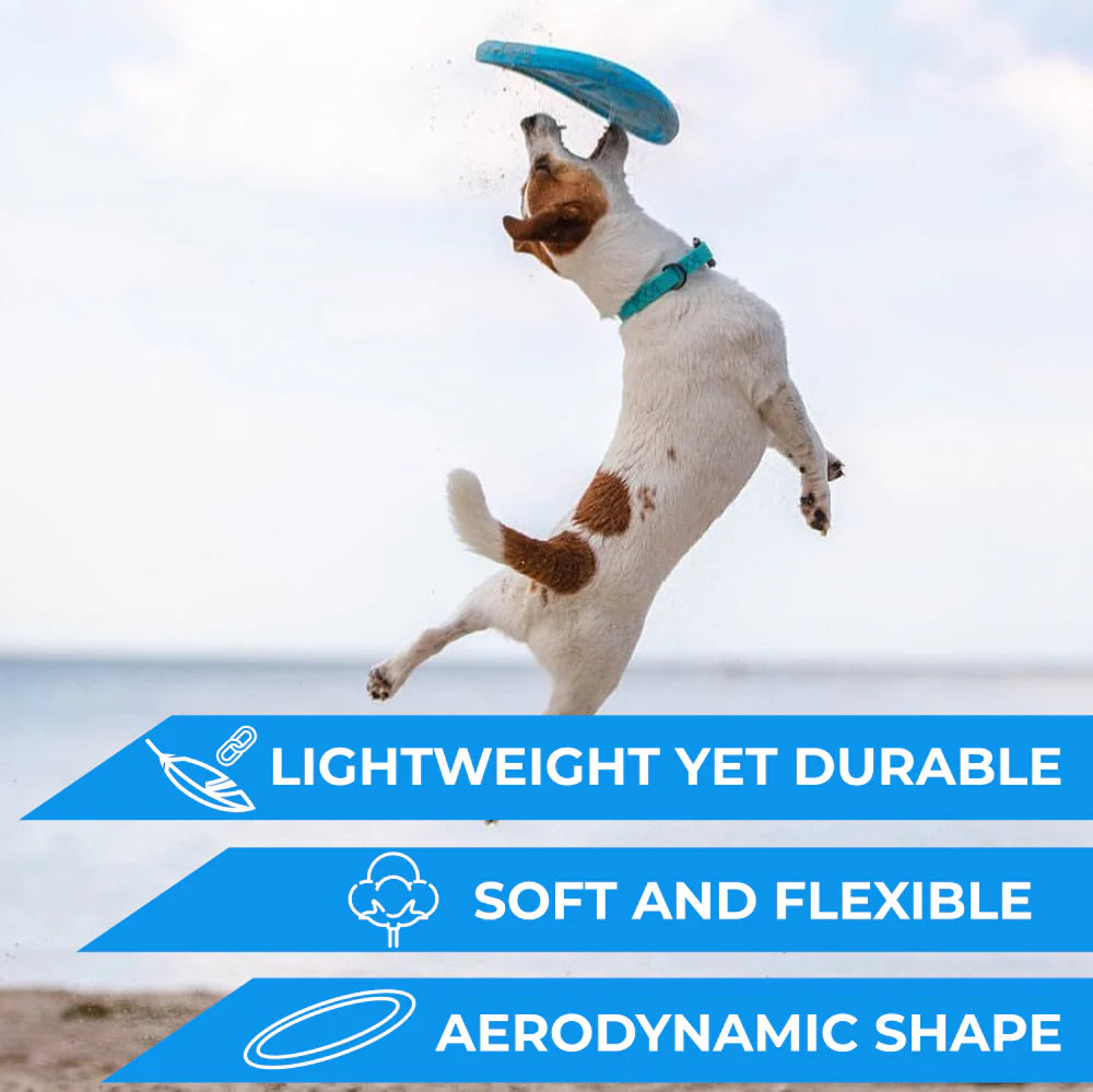 PitchDog Flying Disk