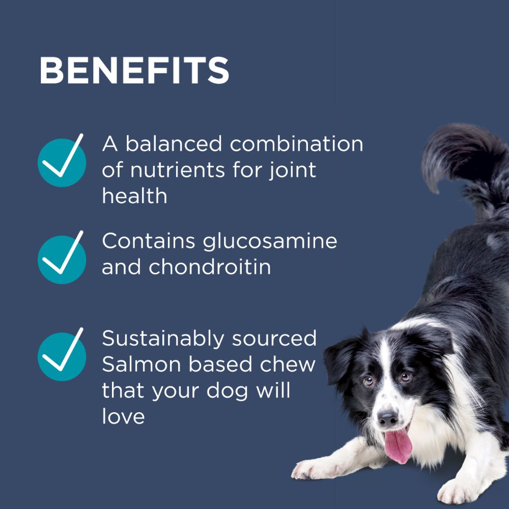 PAW by Blackmores OsteoCare Joint Protect