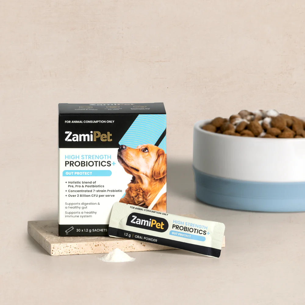 ZamiPet High Strength Probiotics+