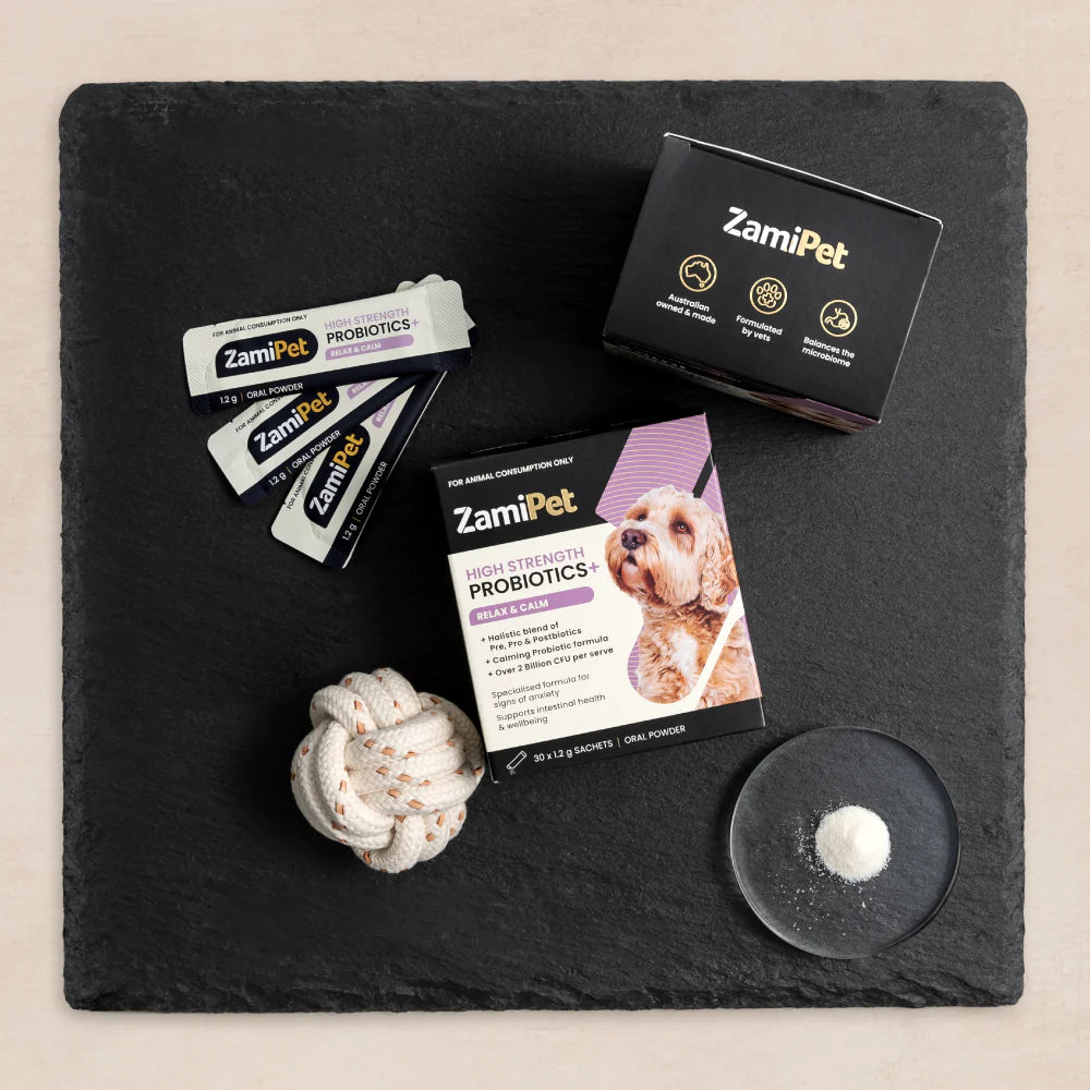 ZamiPet High Strength Probiotics+