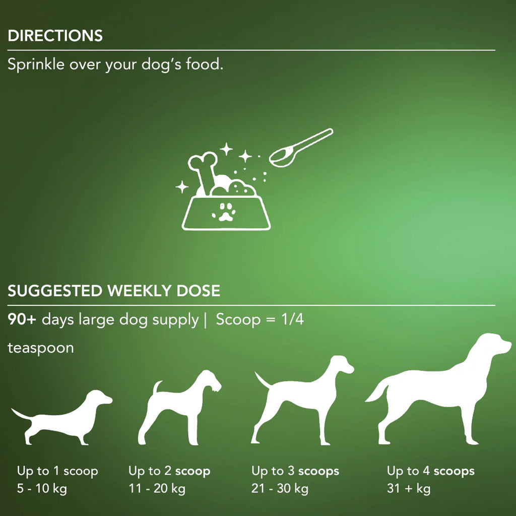 Tandem – Super Foods – New Zealand Organic Kelp Powder