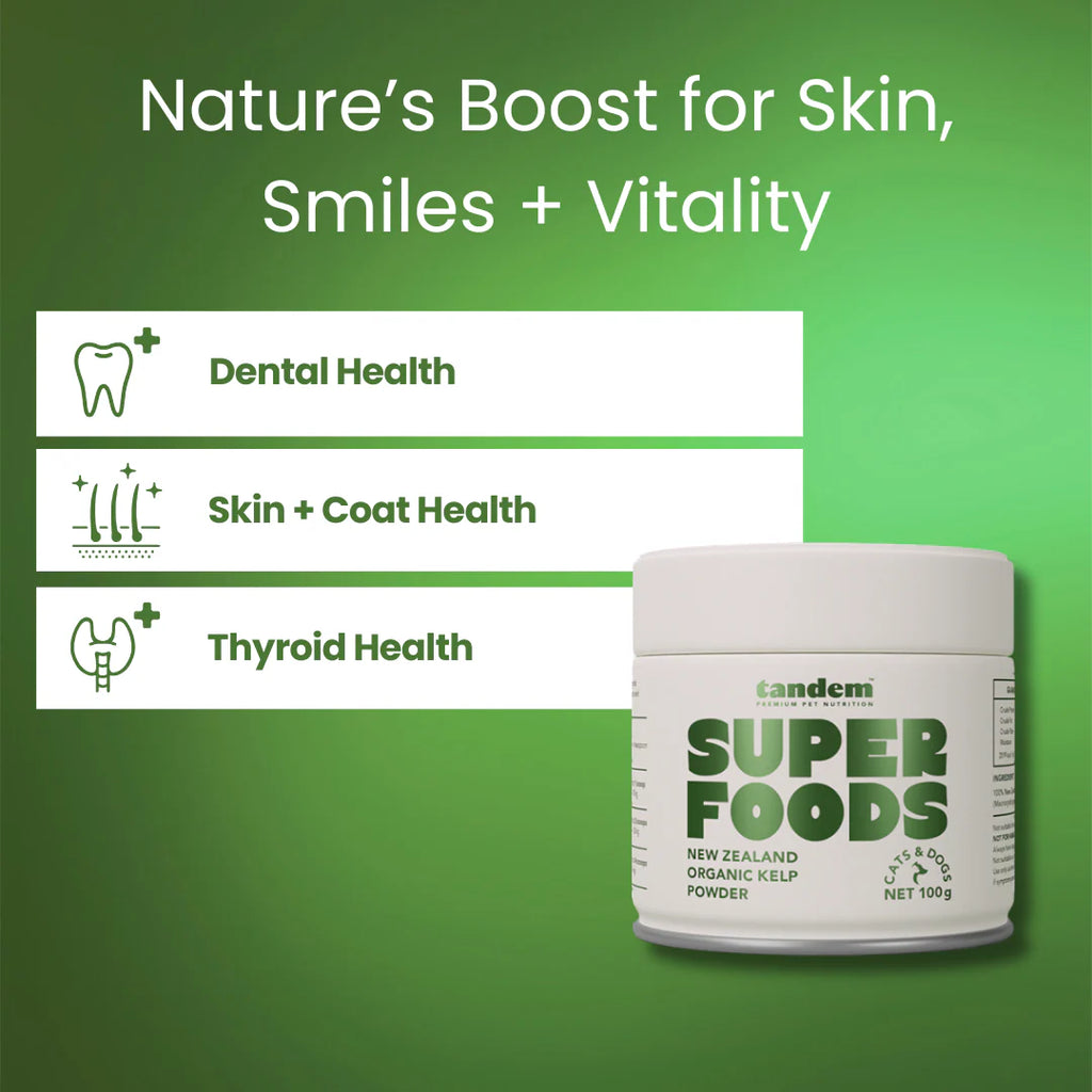 Tandem – Super Foods – New Zealand Organic Kelp Powder