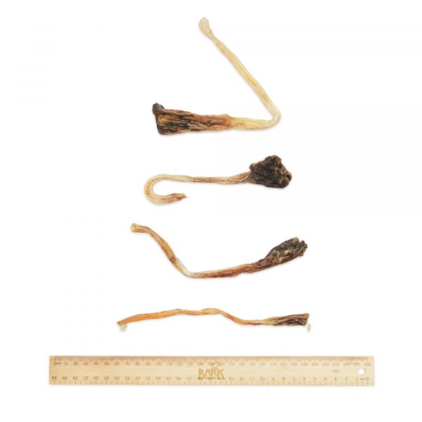 Bark & Beyond Roo Tendons