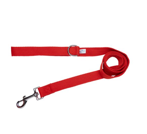 Beau Pets Webbing Lead Red — Tidbit