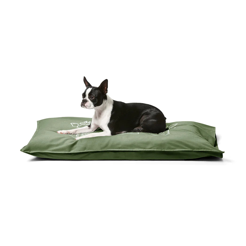 Snooza Cotton Canvas Pet Futon Fern