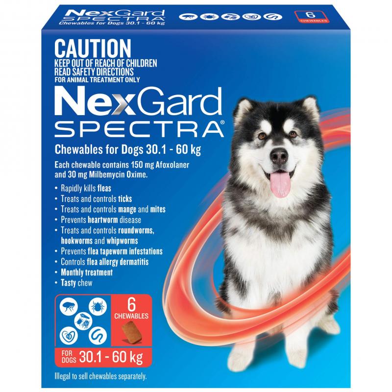 NexGard Spectra Chewables for Dogs