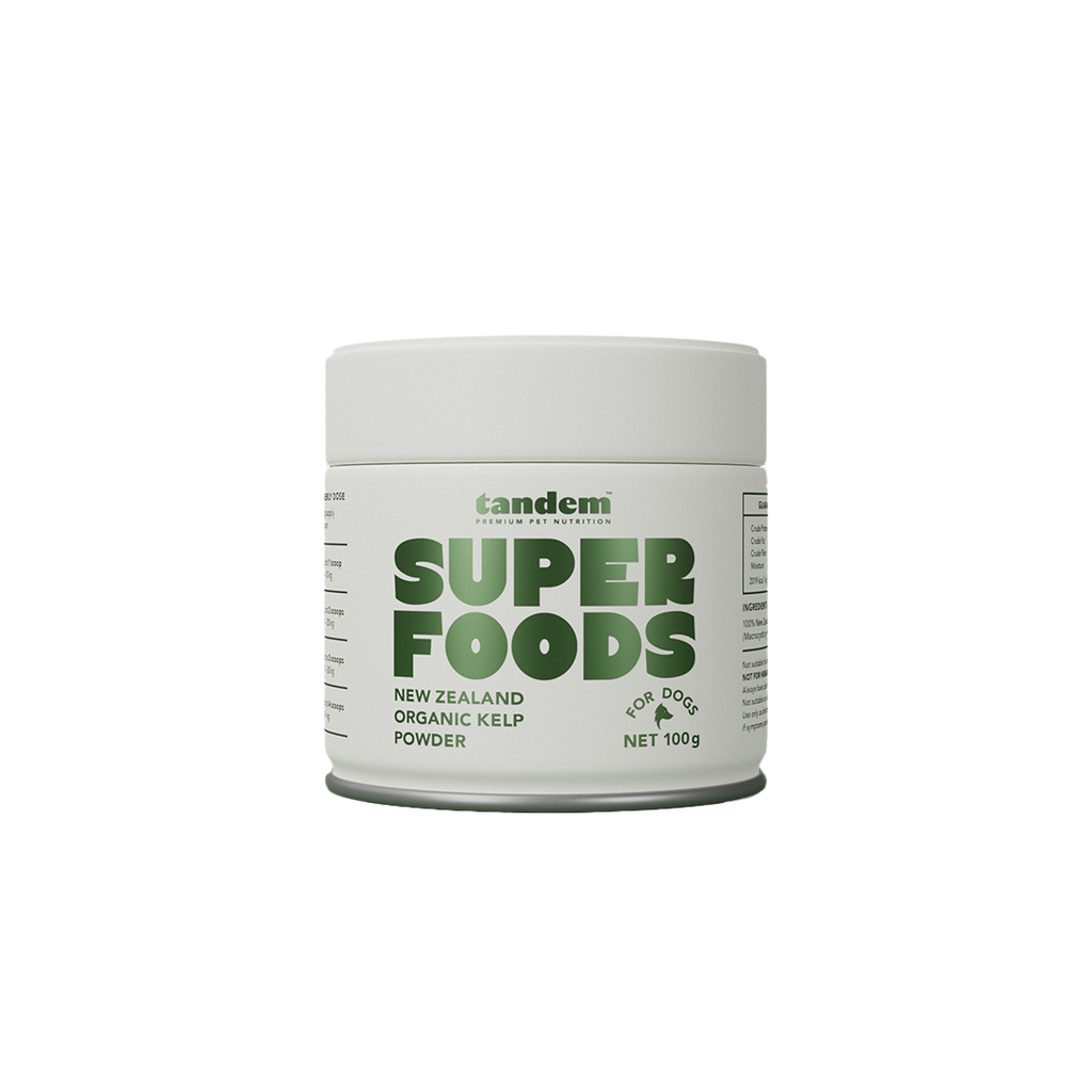 Tandem – Super Foods – New Zealand Organic Kelp Powder