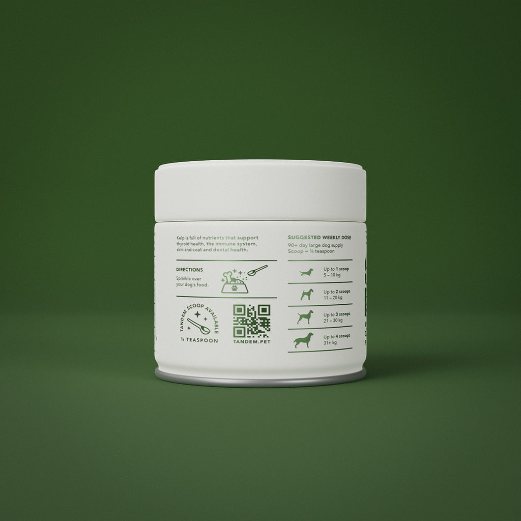 Tandem – Super Foods – New Zealand Organic Kelp Powder