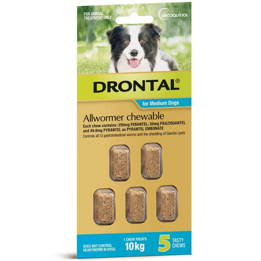 Drontal Allwormer Chewable