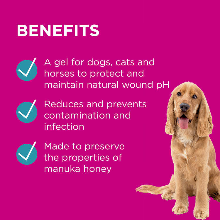 Blackmores PAW Manuka Wound Gel