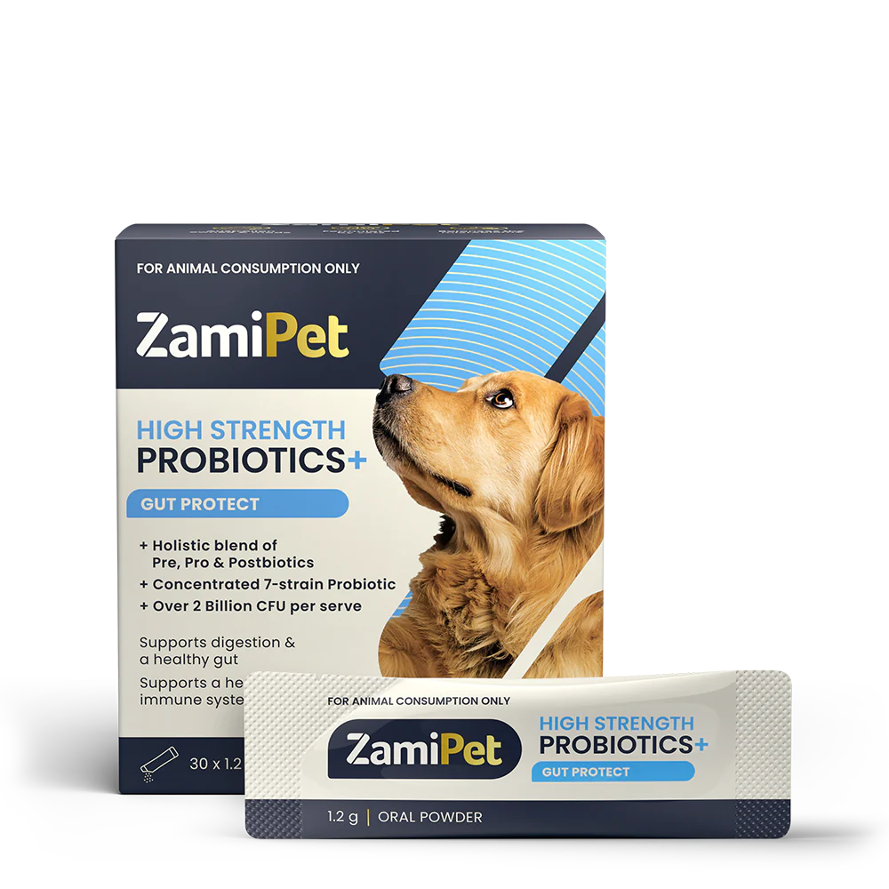 ZamiPet High Strength Probiotics+ — Tidbit