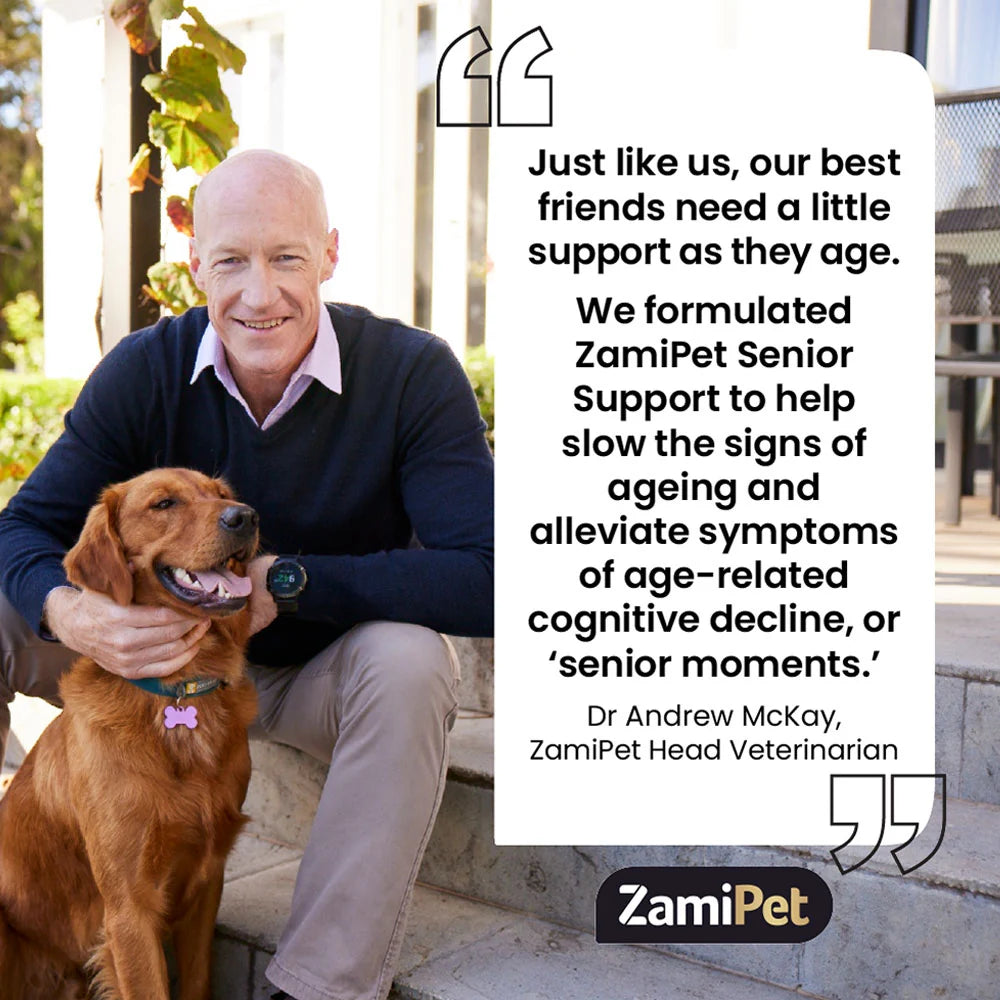 ZamiPet Senior Support