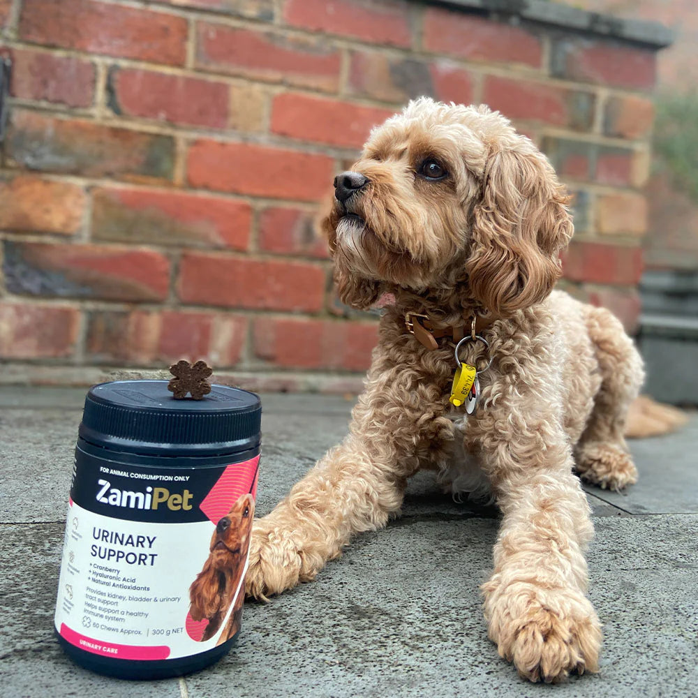 ZamiPet Urinary Support