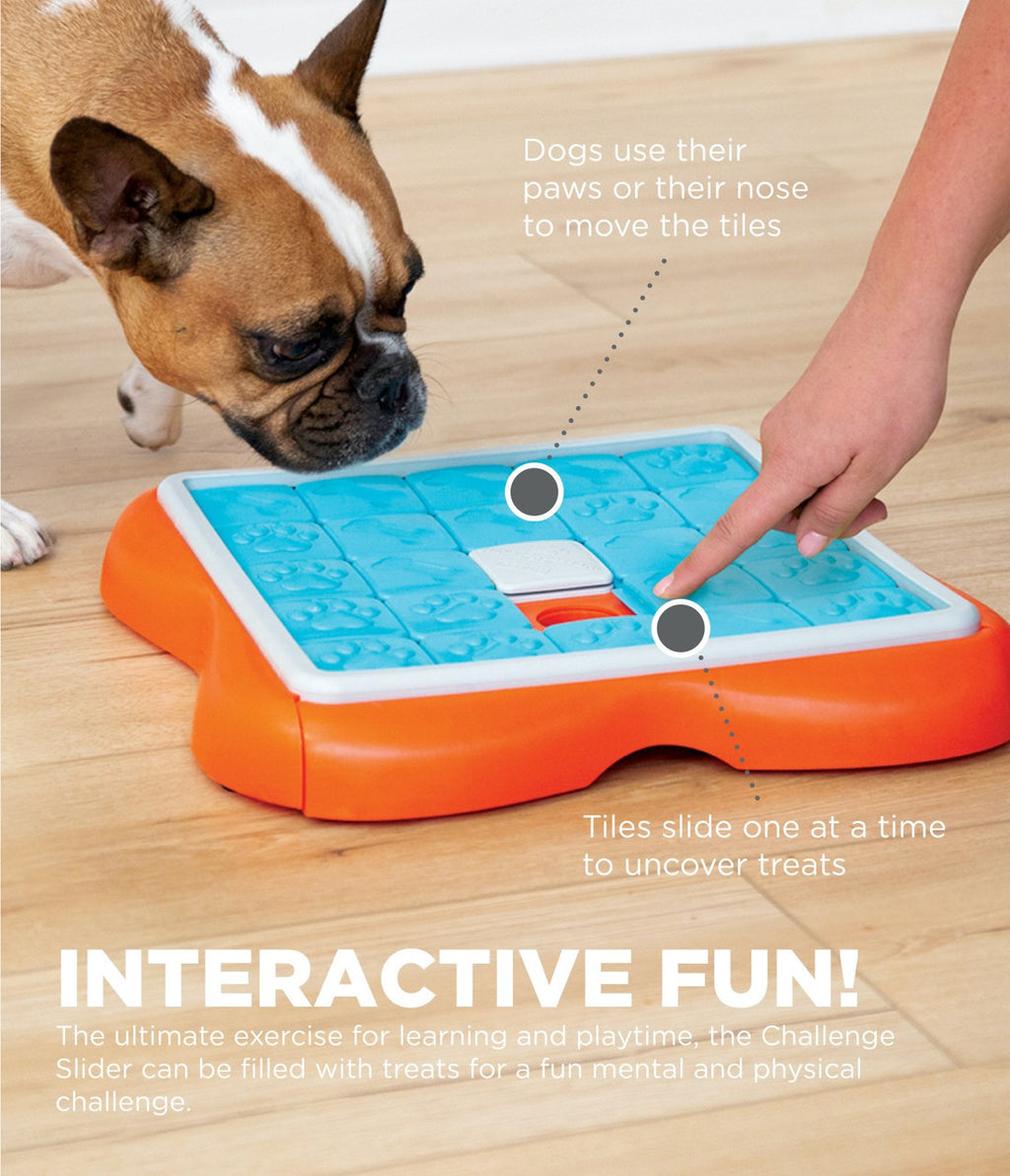 Outward Hound Nina Ottosson Dog Challenge Slider (Level 3)