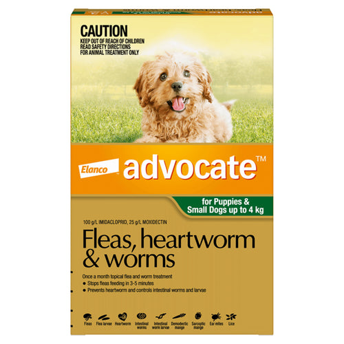 Advocate Flea, Heartworm & Worm Treatment for Dogs (Single Tube) — Tidbit