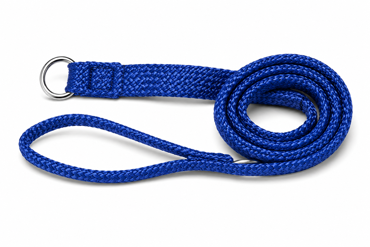Beau Pets Double Nylon Choker Lead Blue