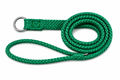 Beau Pets Double Nylon Choker Lead Green