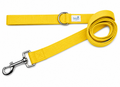Beau Pets Gold Webbing Lead