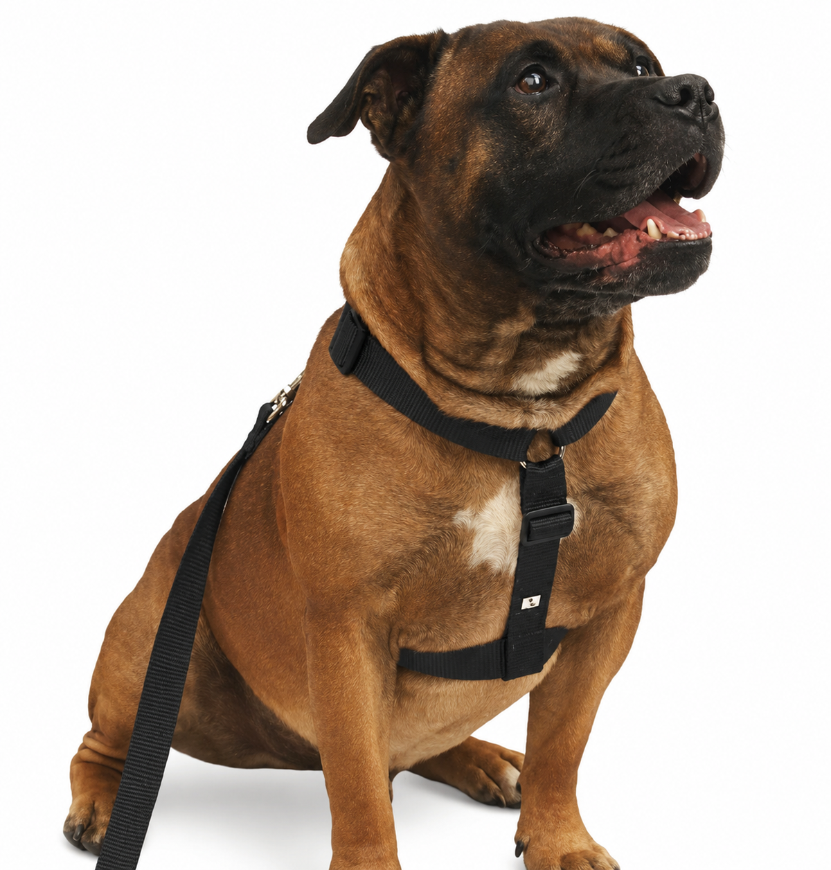 Beau Pets Walking Harness Black