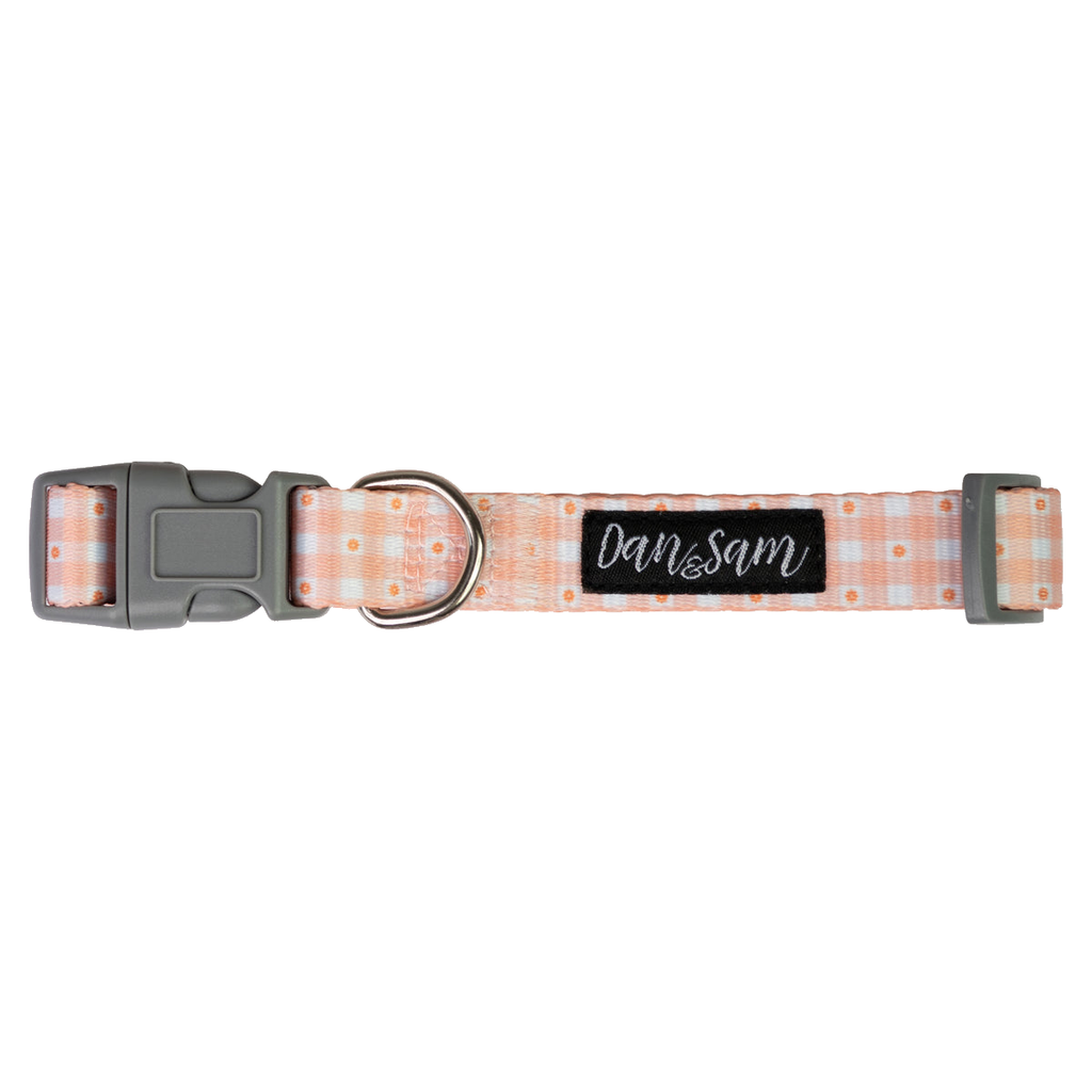 Dan & Sam Daisy Picnic Dog Collar