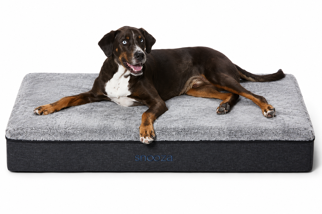 Dog resting on Snooza Big Dog Bed Chinchilla