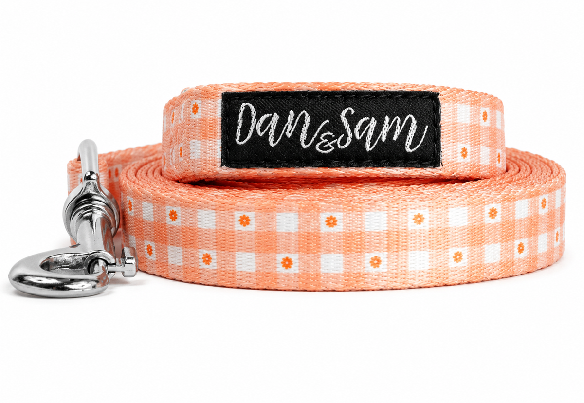 Dan & Sam Daisy Picnic Dog Lead