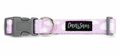 Dan & Sam Dreamer Dog Collar