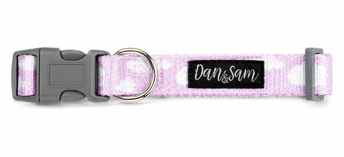 Dan & Sam Dreamer Dog Collar