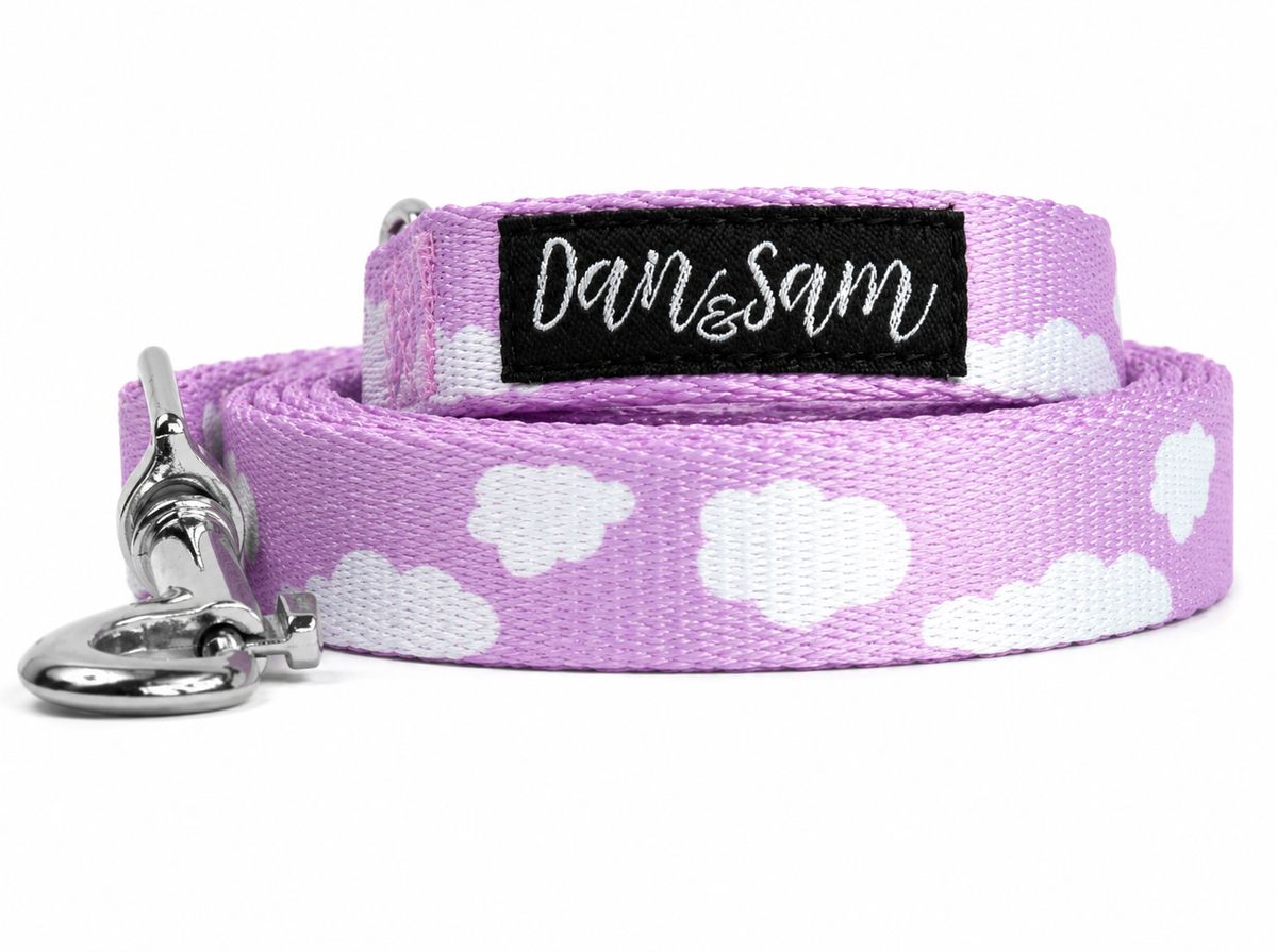 Dan & Sam Dreamer Dog Lead
