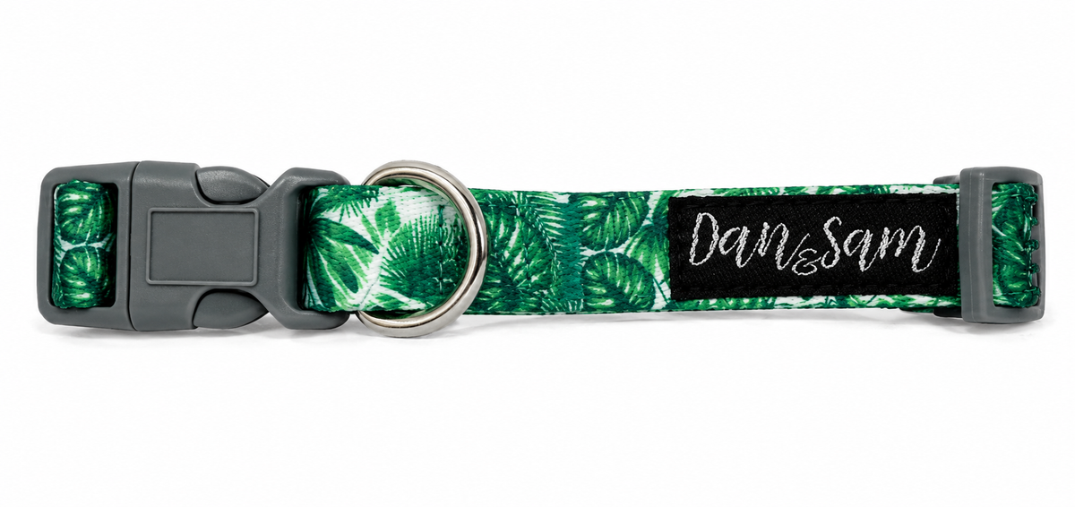 Dan & Sam Lahana Dog Collar