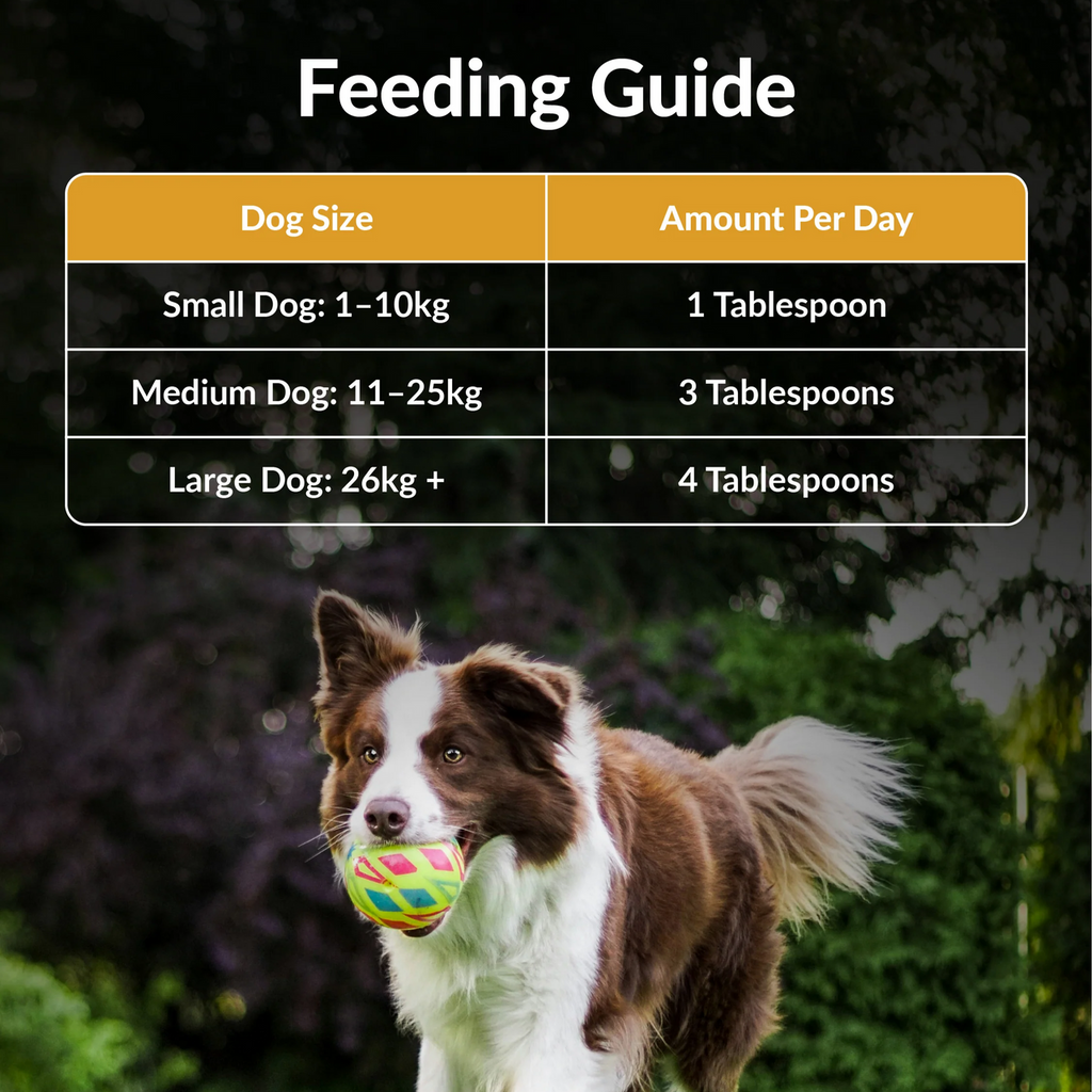 Carnivore Pet Kitchen – Meal Topper For Dogs – Skin & Coat (EXP 11/26)