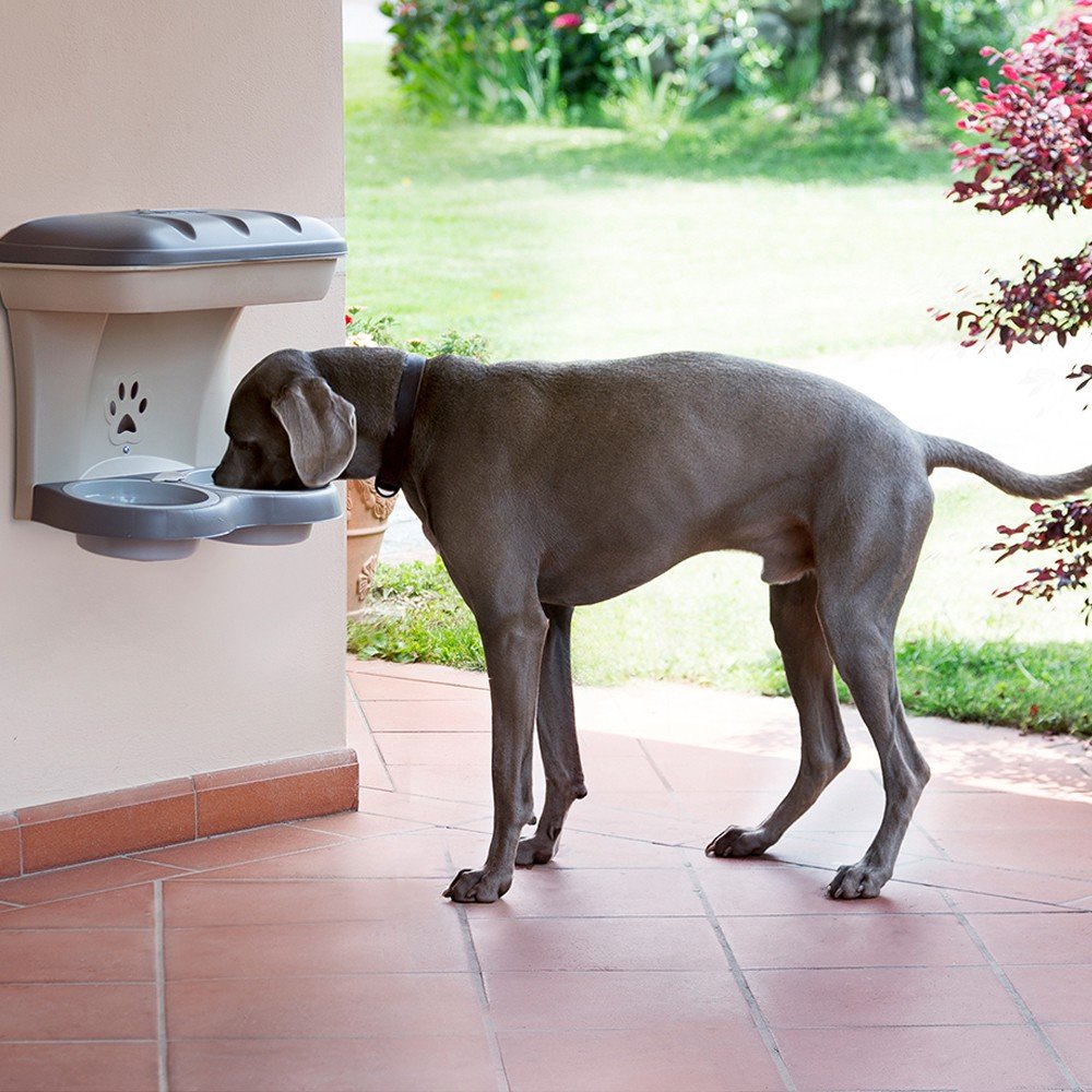 Bama – Pet Food Stand – Green