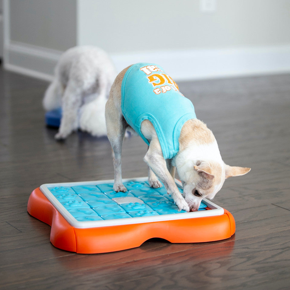 Outward Hound Nina Ottosson Dog Challenge Slider (Level 3)
