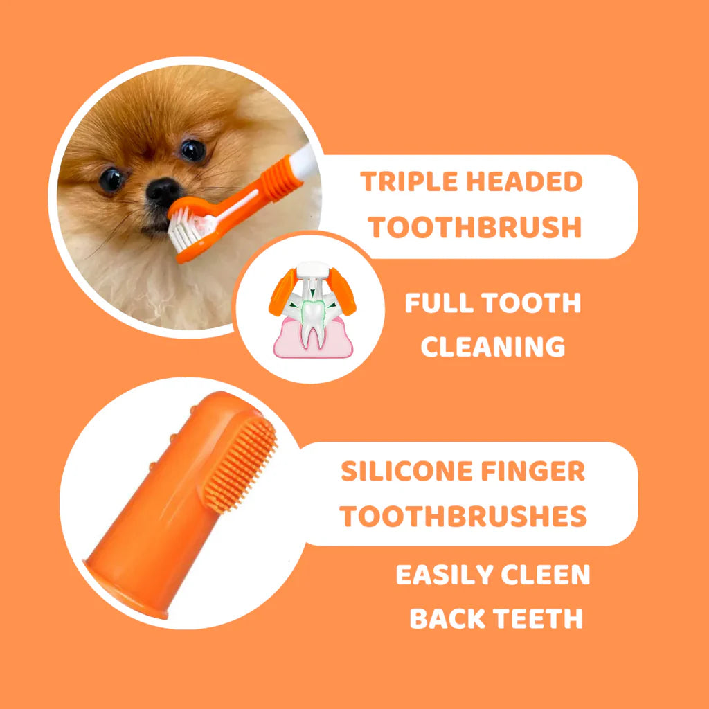 Dogslife Dental Care Kit
