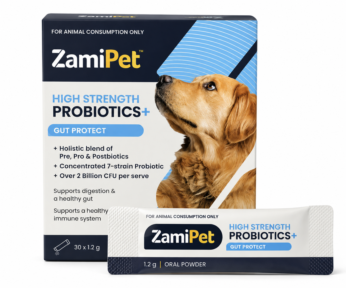 ZamiPet High Strength Probiotics+
