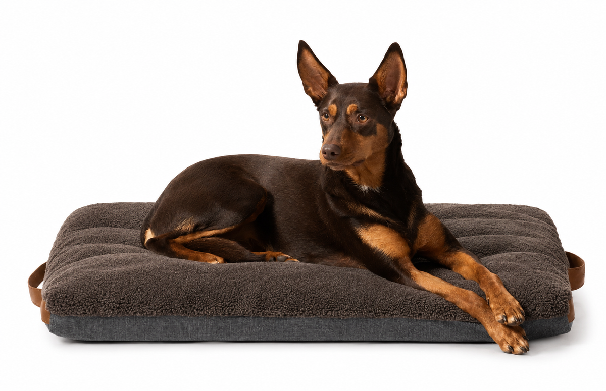 MiniJumbuk Jumbuk Swag Mocha dog bed