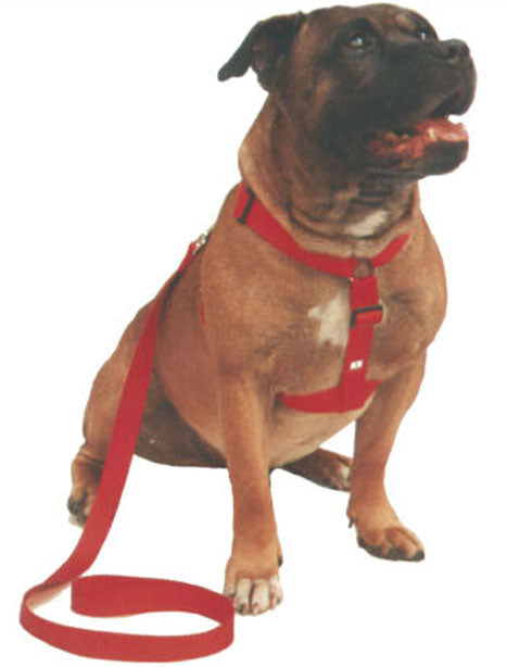 Beau Pets Walking Harness Black