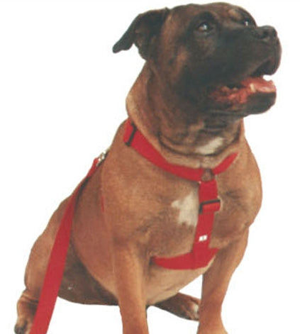 Beau Pets Walking Harness Black — Tidbit